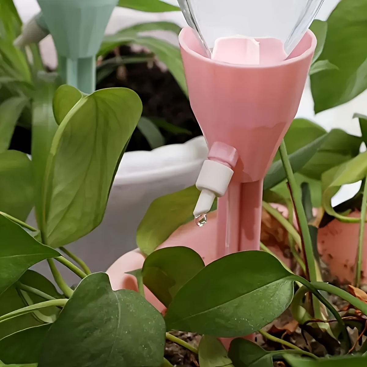 20개 자동 식물 점적 관개 키트, 조절 가능한 물 흐 - Self Watering Insert 리뷰 및 가격